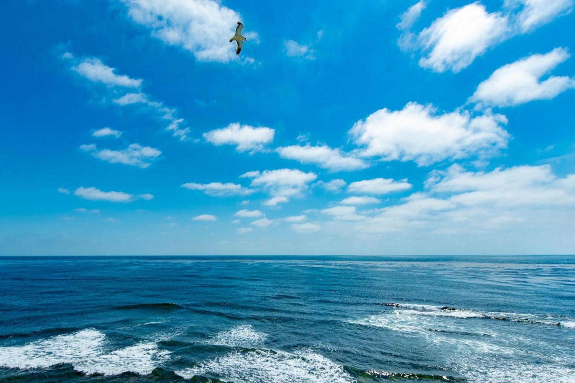 B5320 Sea Glass La Jolla *